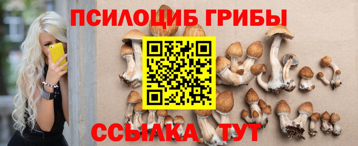 Галлюциногенные грибы прущие грибы  Вход с VPN  Пушкино 